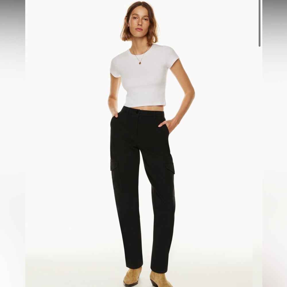 Aritzia Modern Cargo Pant